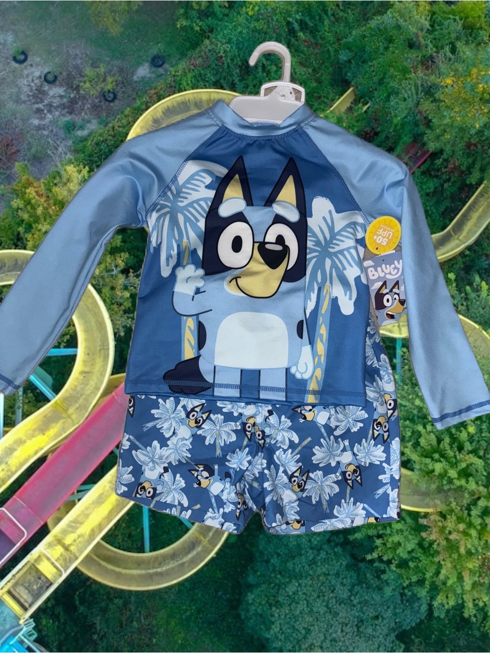Bluey Boys Kids Rash Guard Set 2 pc Long sleeve Shirt & Swim Trunks Bathing Suit